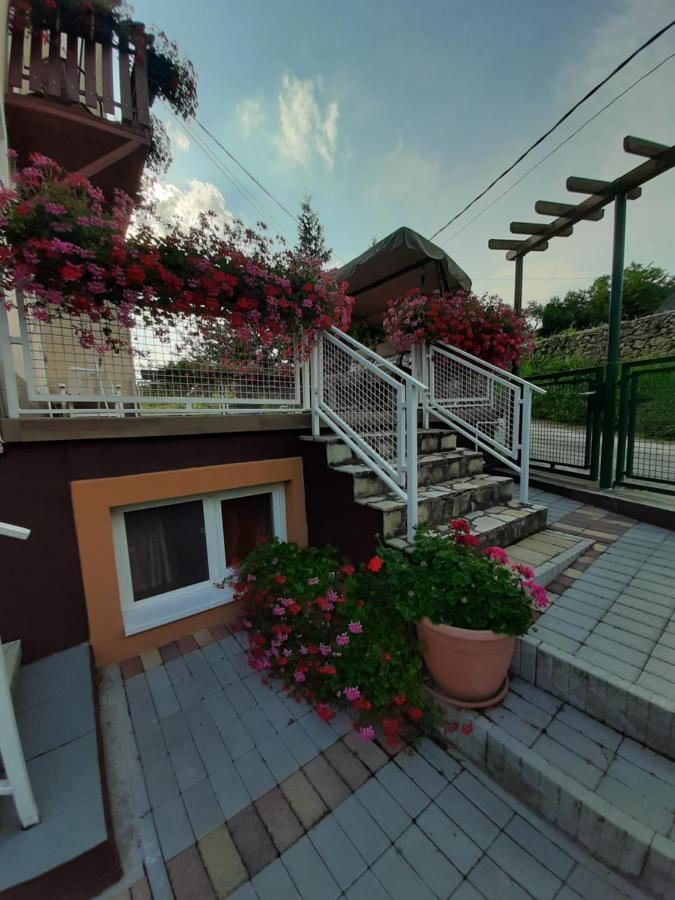 Rozsakert Vendeghaz Bed & Breakfast ซิกลีเก็ต ภายนอก รูปภาพ