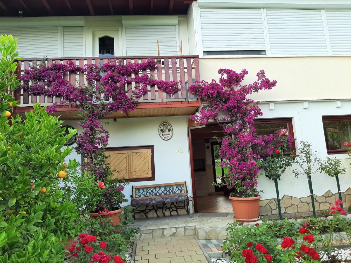 Rozsakert Vendeghaz Bed & Breakfast ซิกลีเก็ต ภายนอก รูปภาพ