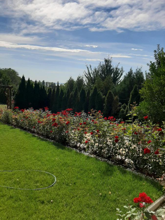 Rozsakert Vendeghaz Bed & Breakfast ซิกลีเก็ต ภายนอก รูปภาพ