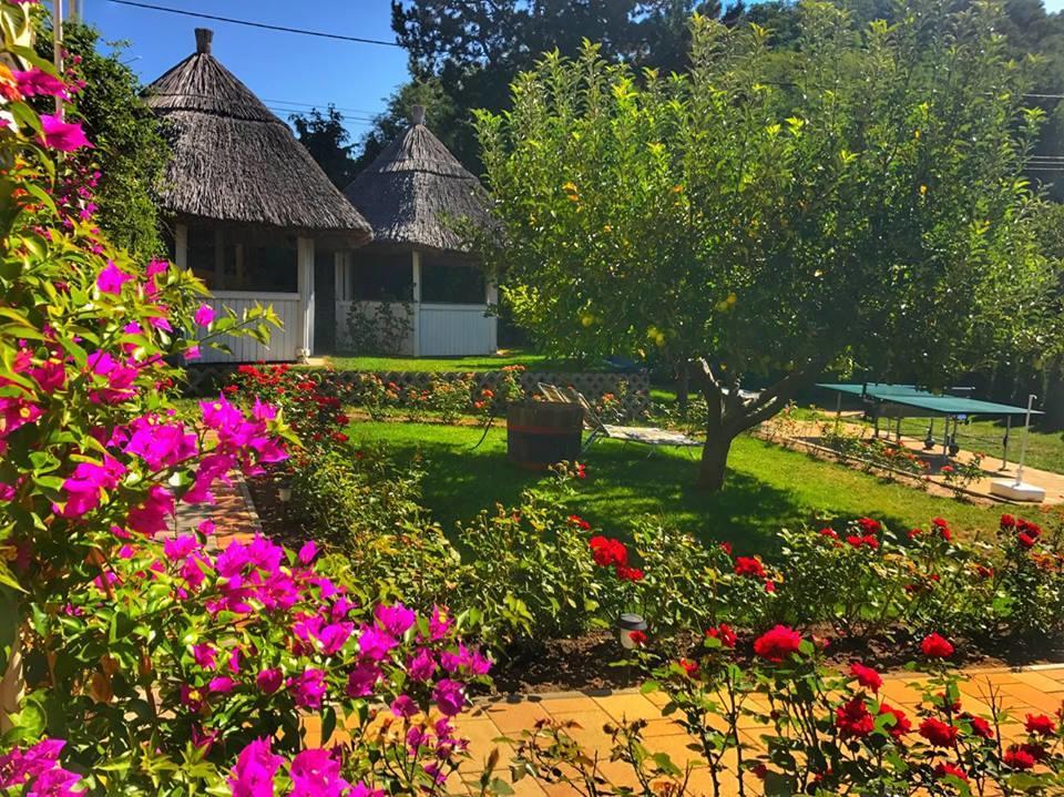 Rozsakert Vendeghaz Bed & Breakfast ซิกลีเก็ต ภายนอก รูปภาพ